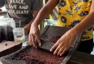 San Pedro Powder: Everything You Need to Know About Sourcing and Quality