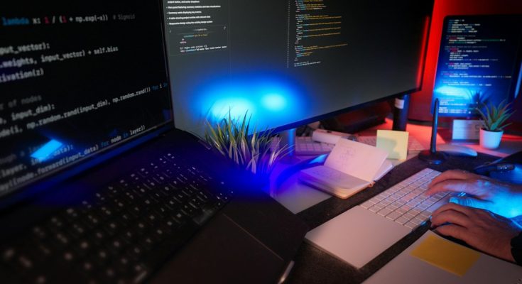 What to Know About Choosing a Weed Delivery Option